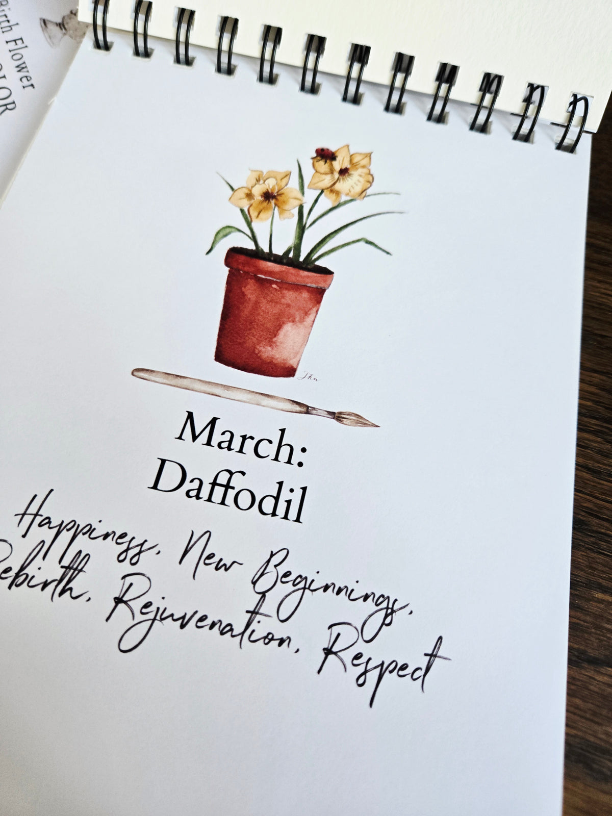 Workbook Birth Month Flowers Watercolor