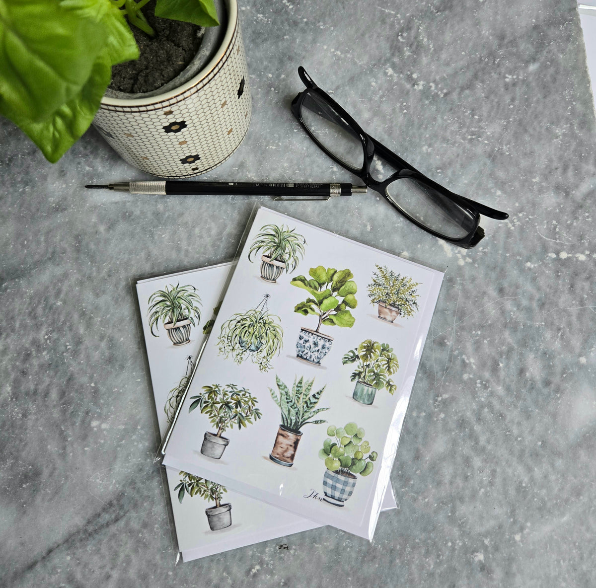 Plant Lady