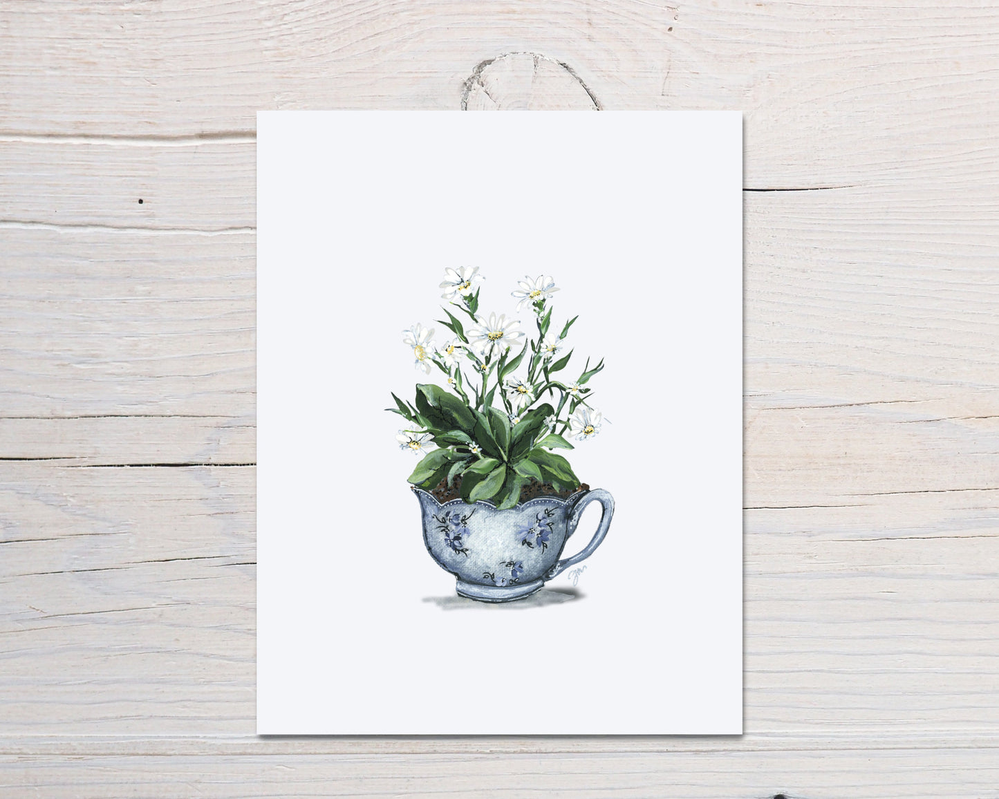 Daisy Cup Print