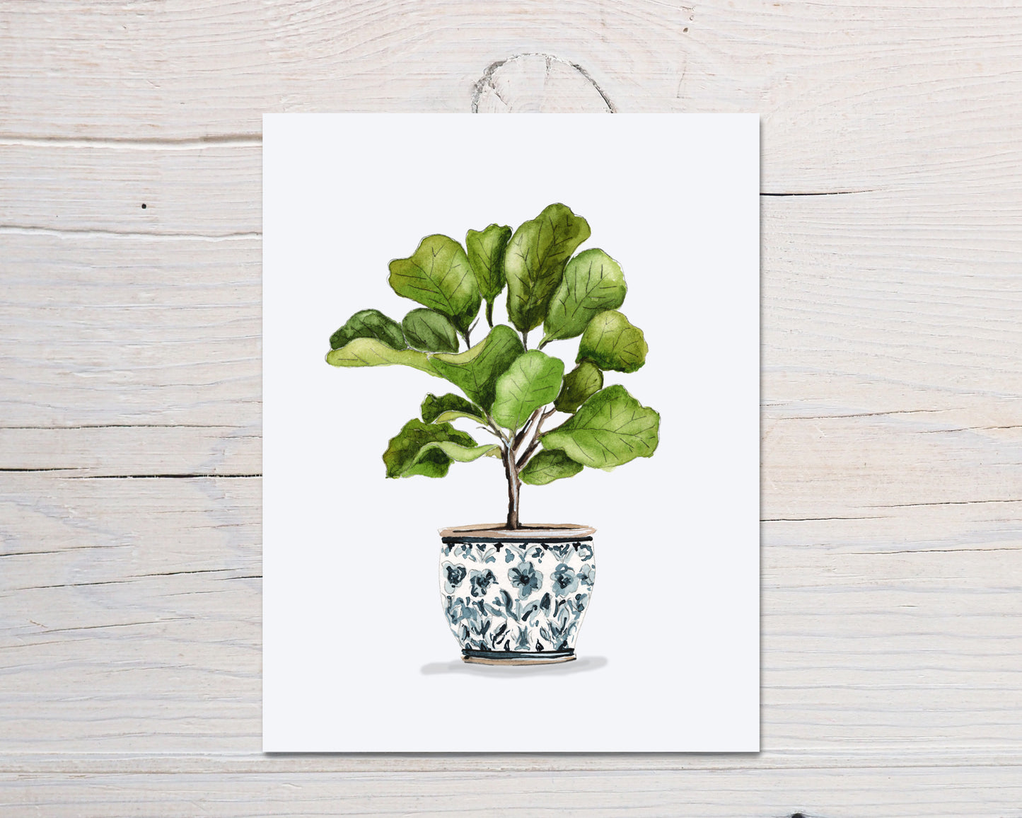 Fiddle Leaf Fig Print