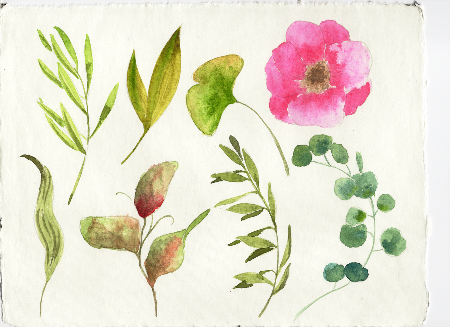 Watercolor 101 Workshop #1 Aug 7th