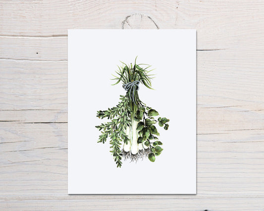 Modern Herb Print