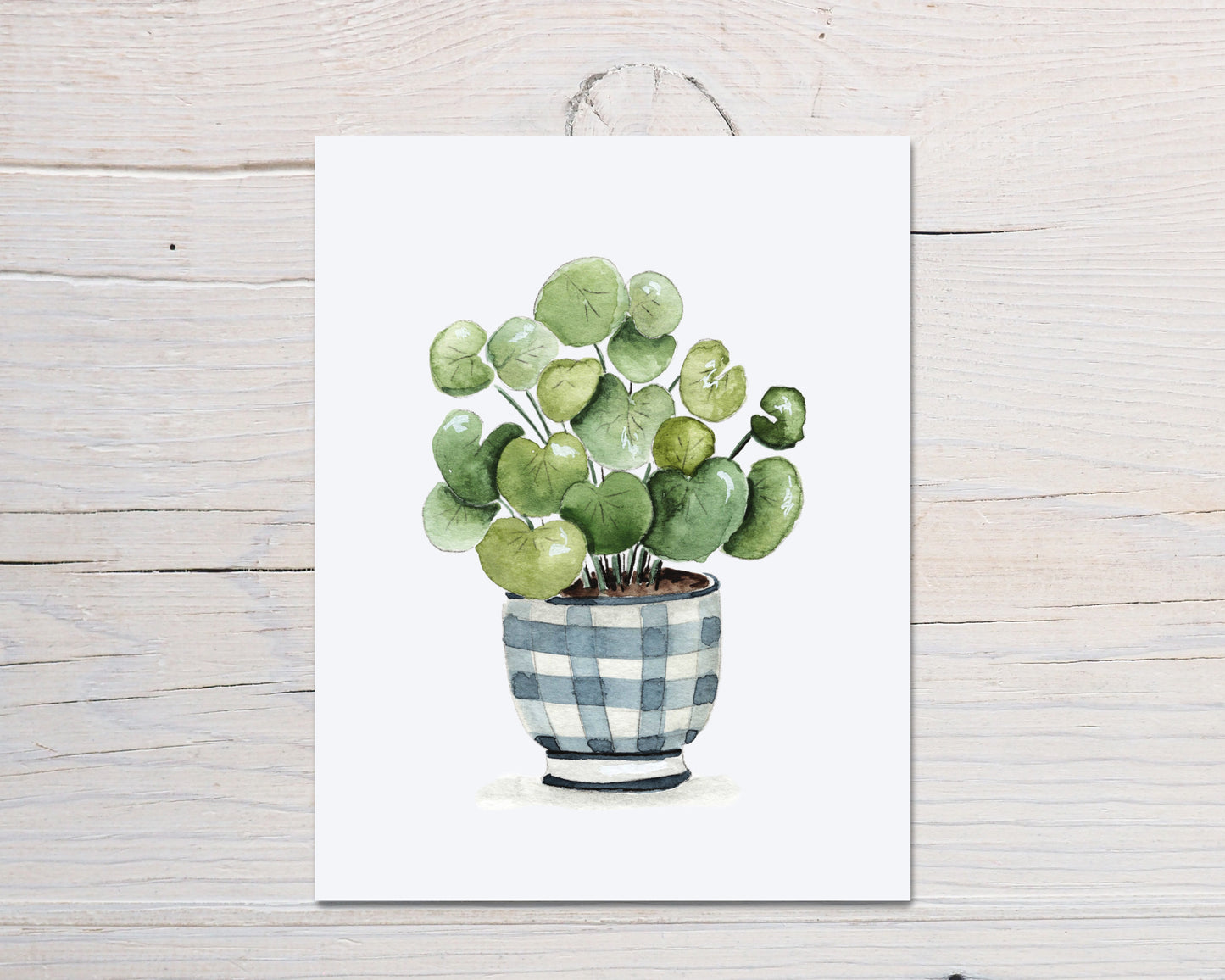 Money Plant Print