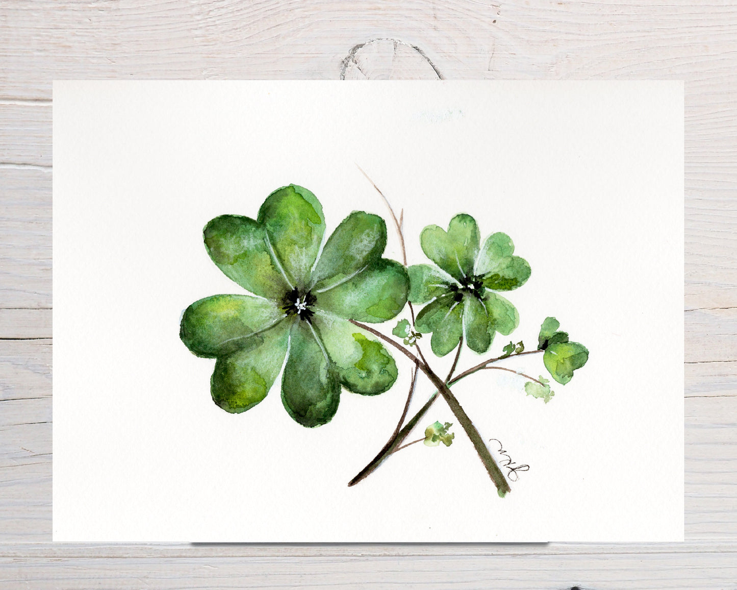 Shamrock Print
