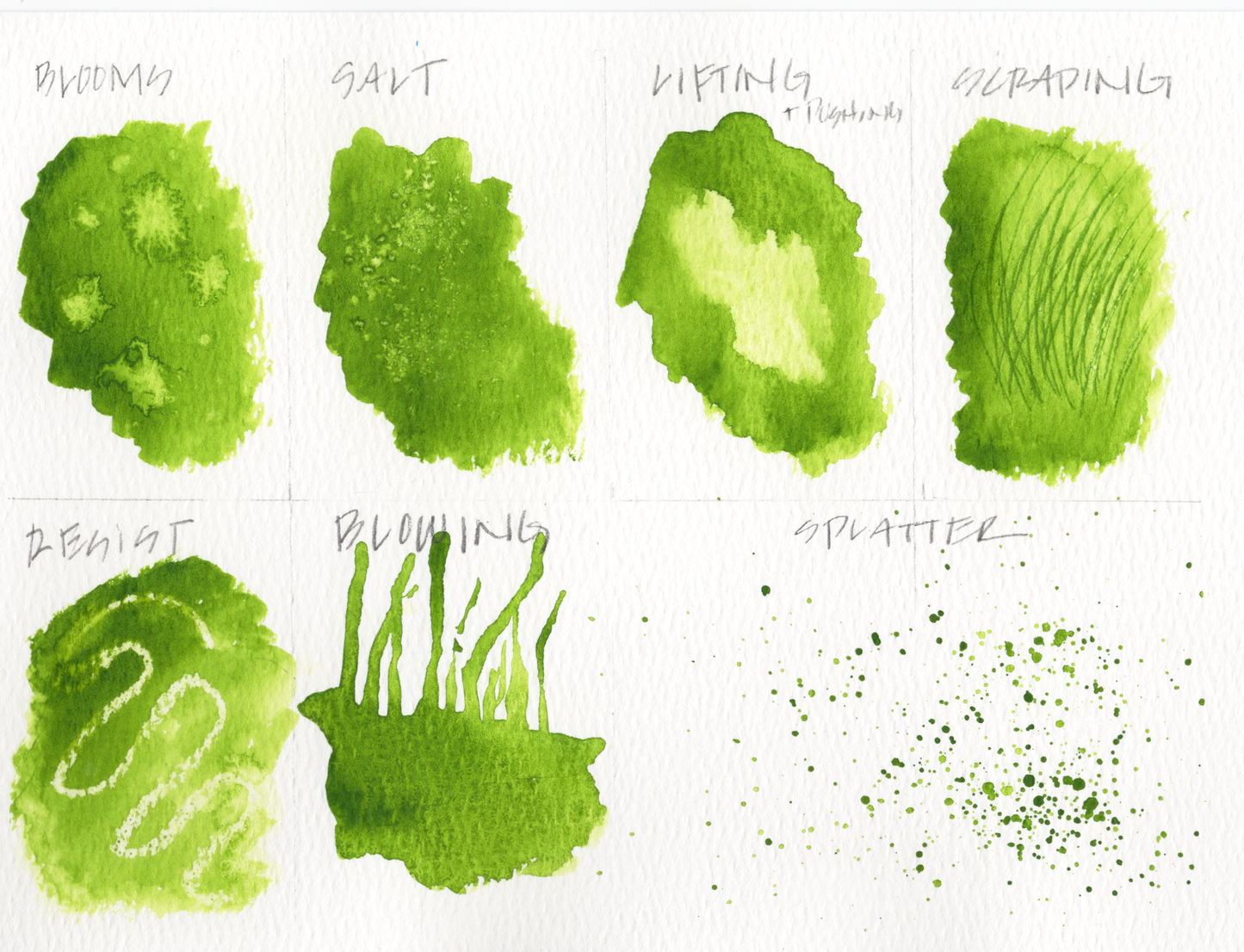 Watercolor 101 Workshop #1 Aug 7th