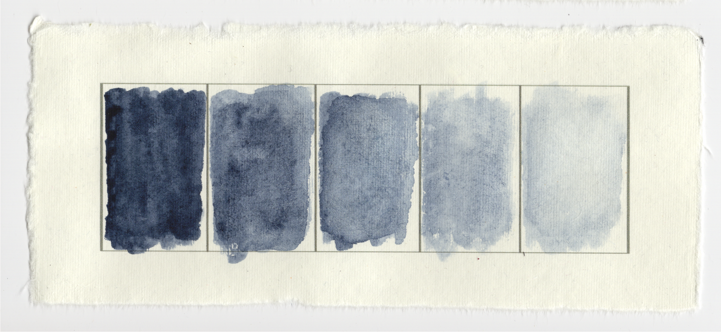 Watercolor 101 Workshop #1 Aug 7th