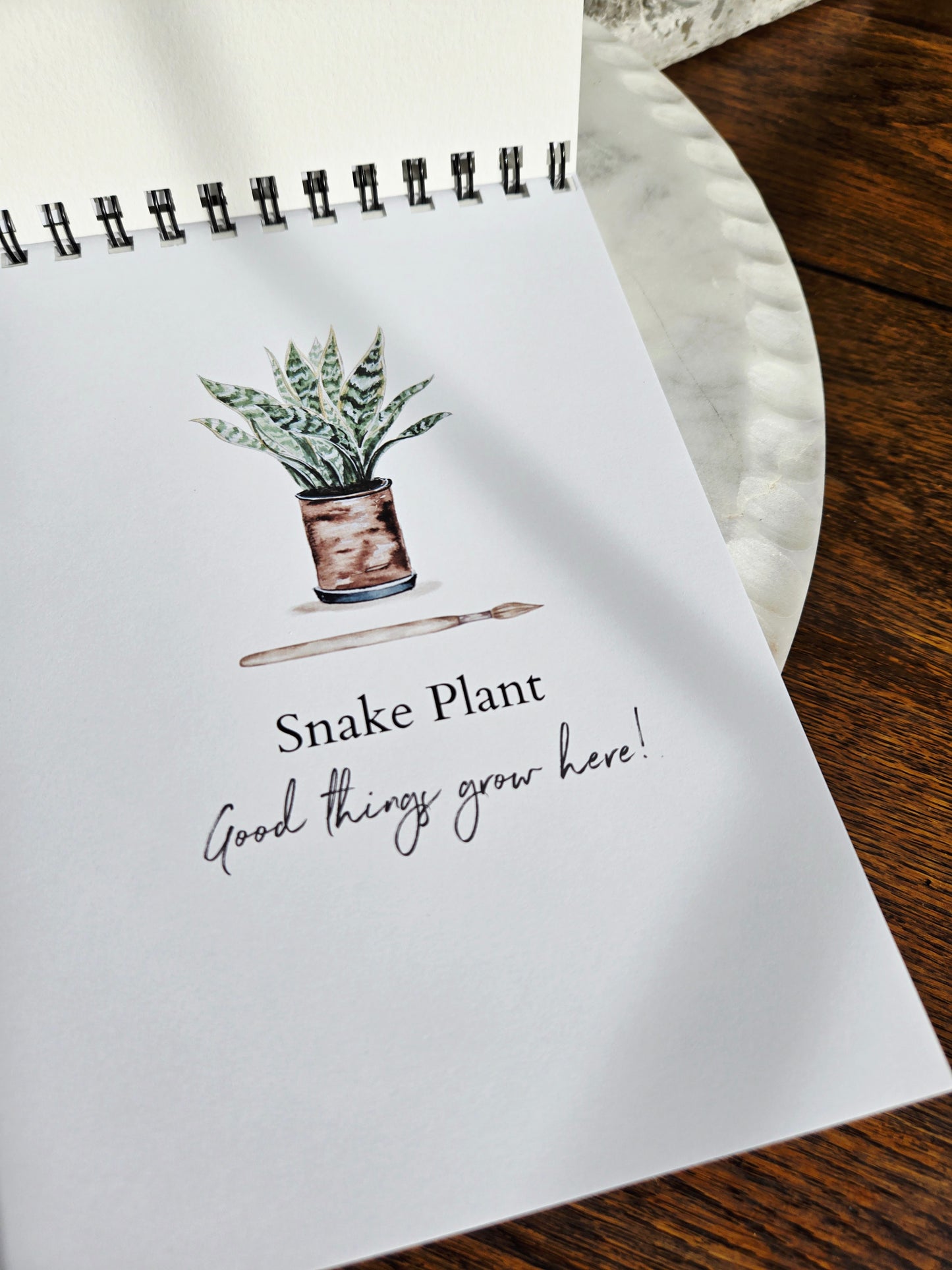 Workbook Houseplants Watercolor