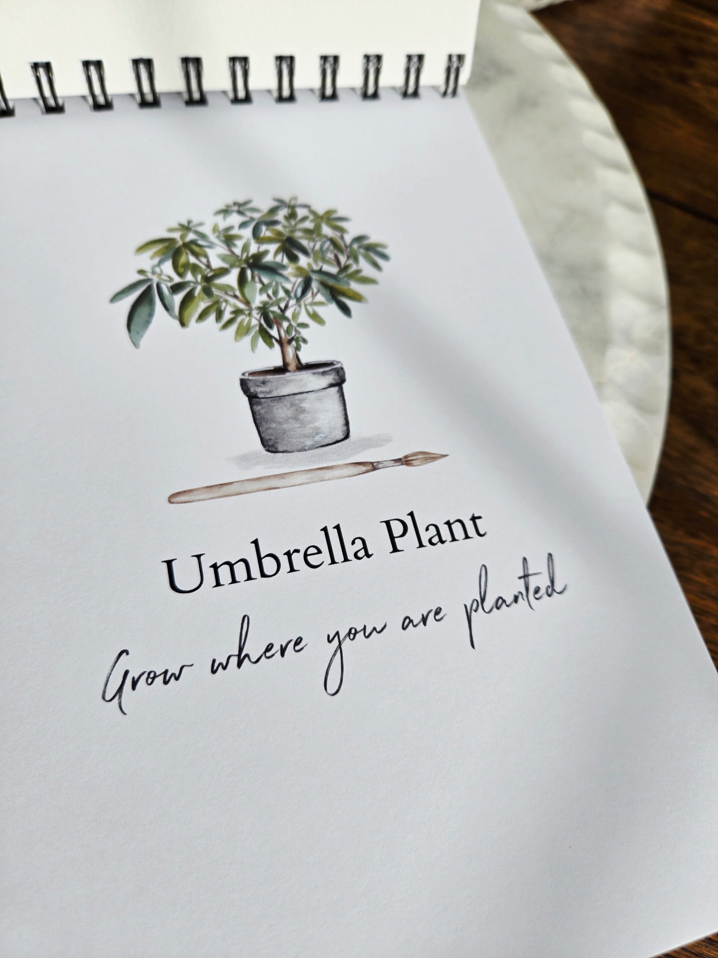 Workbook Houseplants Watercolor