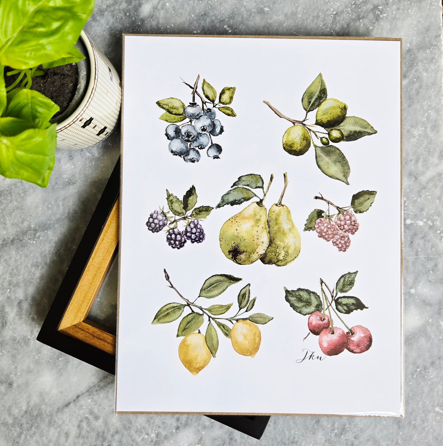 Fruit Print