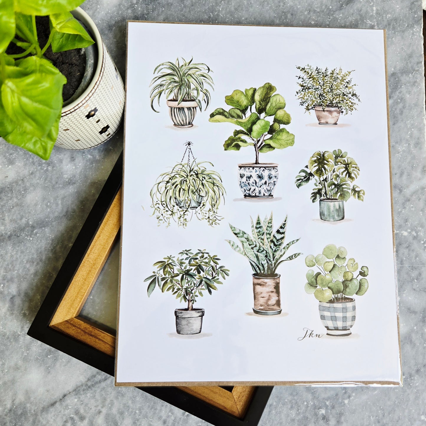 Plant Lady Print