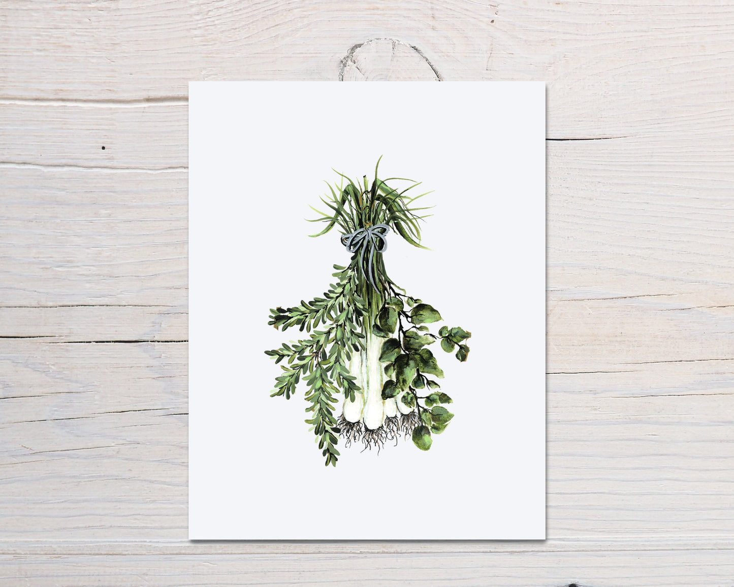 Modern Herb Print