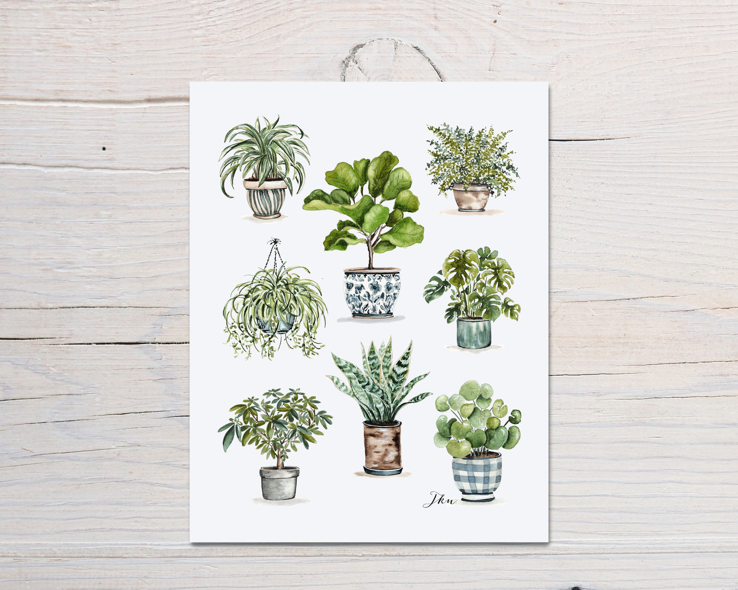 Plant Lady Print