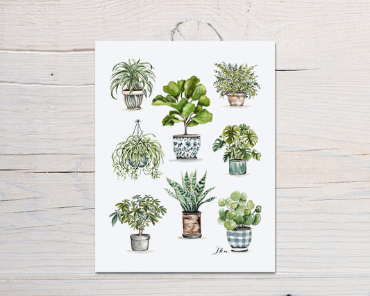 Plant Lady Print